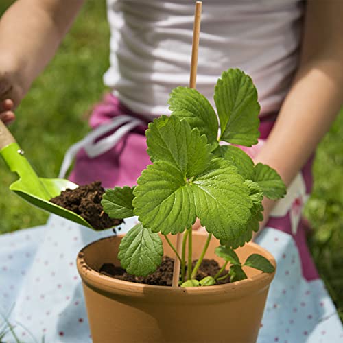 Frcctre 60 Pack 16 Inch Bamboo Plant Stakes, Natural Garden Sticks for Plant Indoor and Outdoor Gardening Plant Support Climbing Stakes for Tomatoes, Frcctre