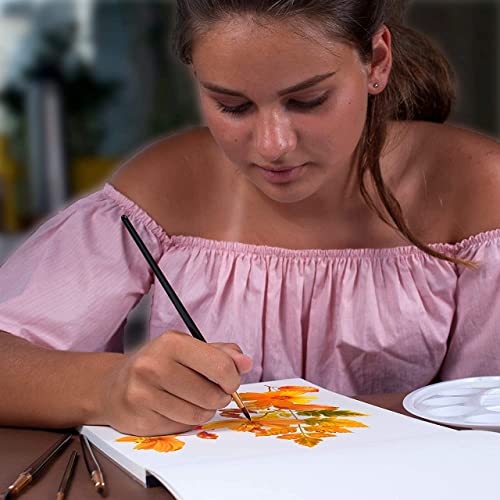 TRITART Paint Brush Set of 25 - Suitable as Acrylic, Watercolor & Oil Brushes - Paintbrushes with 2 Mixing Pallets - Artists Painting Supplies Tritart