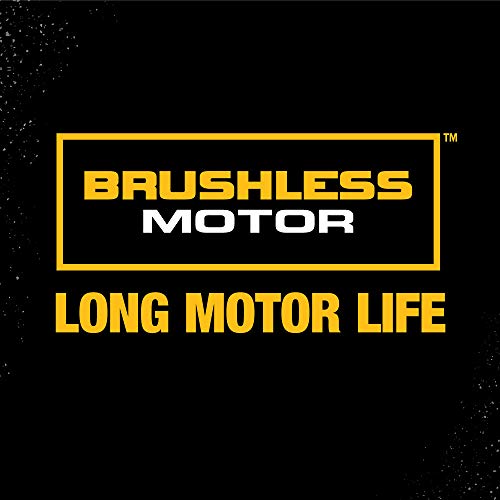 DEWALT XTREME 12V MAX* Cordless Drill Combo Kit (DCK221F2) DEWALT