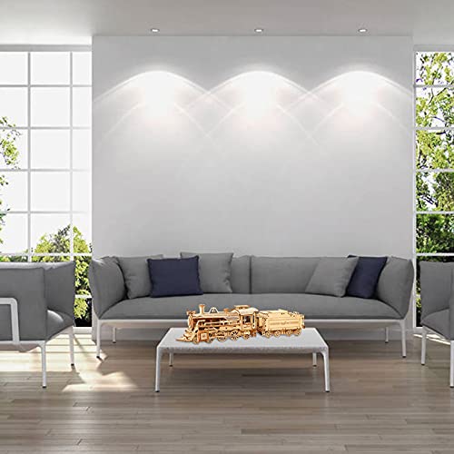 Express Train - DIY 3D Wooden Puzzle Model Kit - Laser Cut Wooden Puzzle Craft Kit, Brain Teaser Educational Building Model Toy for Kids -Mechanical ROEOLNIL