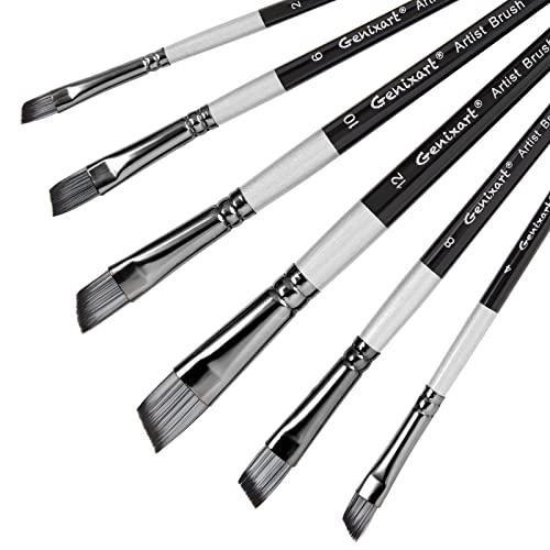 Angular Paint Brushes Set, 6 Pcs Angled Paintbrushes for Acrylic Oil Watercolor Gouache Painting, Premium Nylon Hair Angle Shader Brush for Art Genixart