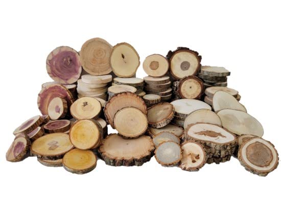 Wood Slice Variety Pack, 1" - 3", Qty of 50 - Live Edge Walnut, Red Cedar, Maple, Oak, Coasters, Craft Wood, Wood Burning, Epoxy Resin Projects, SHUIKU