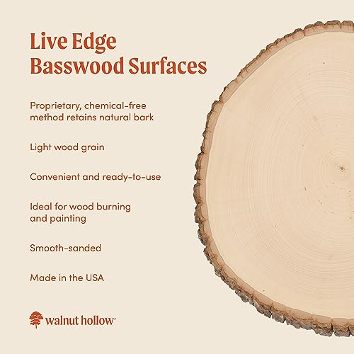 Walnut Hollow Basswood Round, Small 5-7" wide with Live Edge Wood (Pack of 1) - For Wood Burning, Home Décor, and Rustic Weddings Walnut Hollow