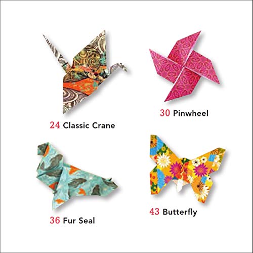 Pocket Size Origami Fun Kit: Contains Everything You Need to Make 7 Exciting Paper Models Tuttle Publishing
