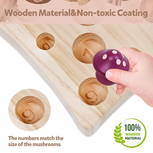 NAODONGLI Wooden Montessori Toys for Toddler,Educational Toys for 3 Year Old,STEM Toys Mushroom Harvest Game,Learing Shape Sorting & Number NAODONGLI