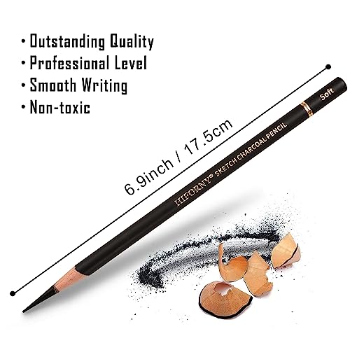 HIFORNY 10 Pieces Colored Charcoal Pencils for drawing- Black White Charcoal Pencils for Sketching,Shading,Blending,Portrait - Ideal for Beginners & HIFORNY