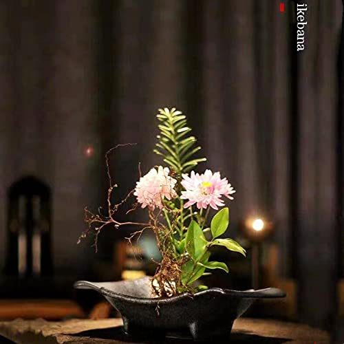 Japanese Flower Frog Ikebana Vase Kit, Ceramics Flower Container (7.9"Lx5.9"Wx2.0"H) with 2.4" Round Floral Frog and 2 in 1 Kenzan Needle Eggone