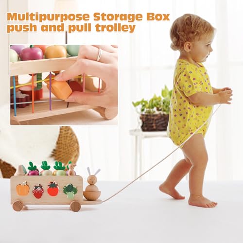 OESSUF Montessori Toys Toddlers Wooden Educational Toys for Baby Boys Girls, Shape Sorting & Matching Fine Motor Skills Toys, Birthday Gifts for Kids OESSUF