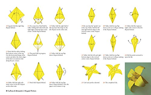 LaFosse & Alexander's Origami Flowers Kit: Lifelike Paper Flowers to Brighten Up Your Life: Kit with Origami Book, 180 Origami Papers, 20 Projects & Tuttle Publishing