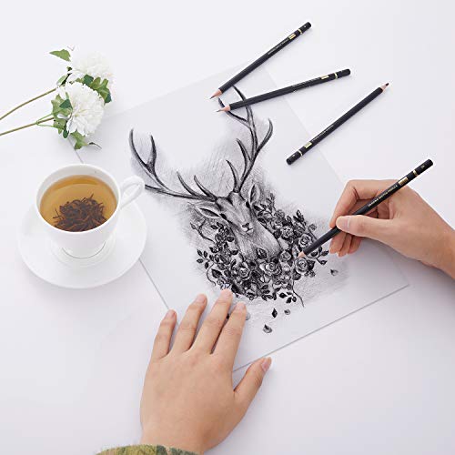 MARKART Professional Drawing Sketching Pencil Set - 14 Pieces,Graphite,(12B - 4H), Ideal for Drawing Art, Sketching, Shading, Artist Pencils for MARKART