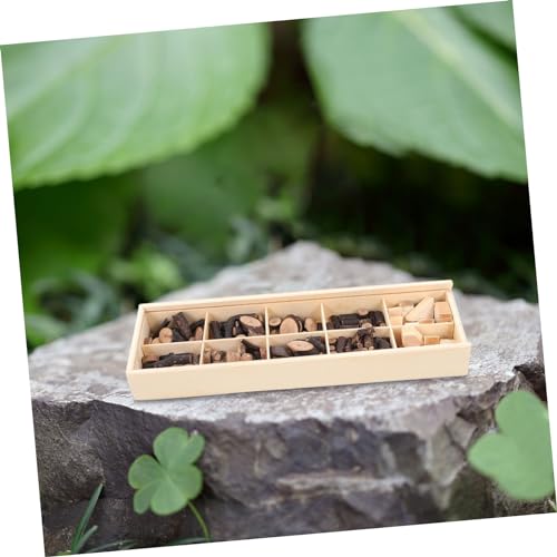 TEHAUX 1 Set Wood Chip Set Tree Bark Slices Wood Slice Wood Aquarium Ornament Unfinished Log Sticks Natural Wood Discs Wood Embellishment Mini Tools TEHAUX