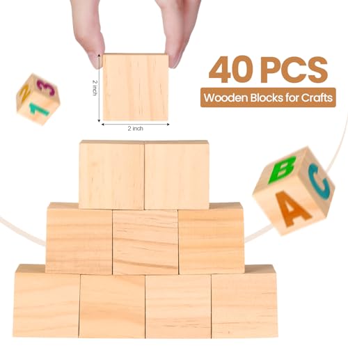 Halloscume 40 Pcs 2 Inch Wooden Blocks Unfinished Wooden Blocks for Crafting Plain Wooden Block for Craft Natural Craft Wood Square Blank Wooden Halloscume