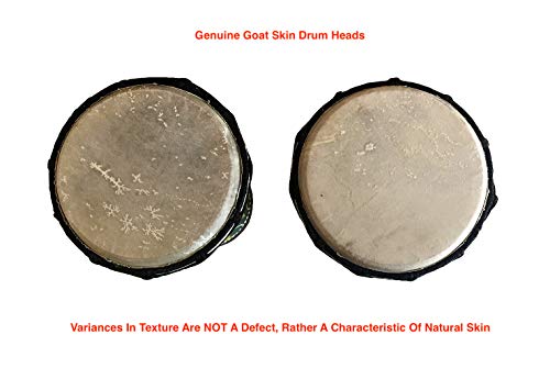 Djembe Drum African Bongo Drum Hand Drum LARGE SIZE 16" High - Jive® Brand - PROFESSIONAL SOUND/QUALITY - Carved Jive