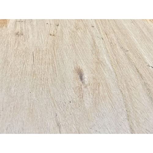 7x2 Red Elm Kiln Dried Wood Turning Lathe Bowl Blank Block Generic