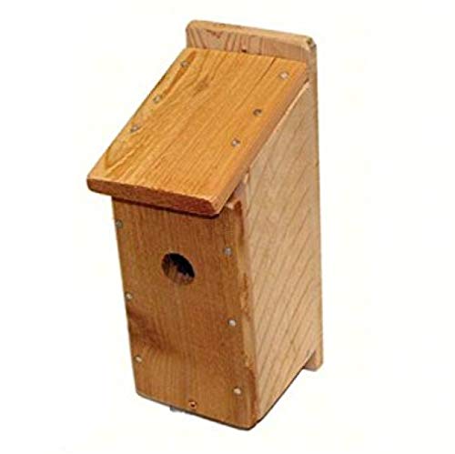 Songbird Essentials DIY Build a Birdhouse Bluebird Kit. Made of Cedar Wood. Great Project for Kids Songbird Essentials
