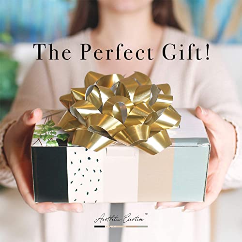 Macrame Kit-Black Edition-Makes 3 Macrame Plant Hangers with Easy to Follow Instructions for Adult Beginners - Includes 109 Yards 3mm Cotton Macrame Aesthetic Creative