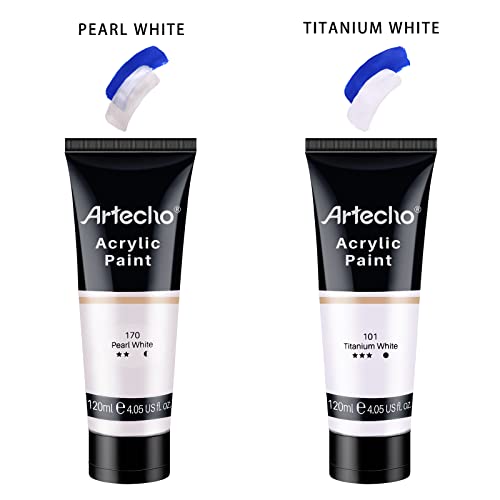 Artecho Professional Acrylic Paint, Titanium White (120ml / 4.05oz) Tubes, Art Craft Paints for Canvas, Rock, Stone, Wood, Fabric, Art Supplies for Artecho