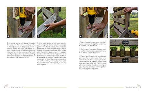 DIY Chicken Keeping from Fresh Eggs Daily: 40+ Projects for the Coop, Run, Brooder, and More! Quarry Books