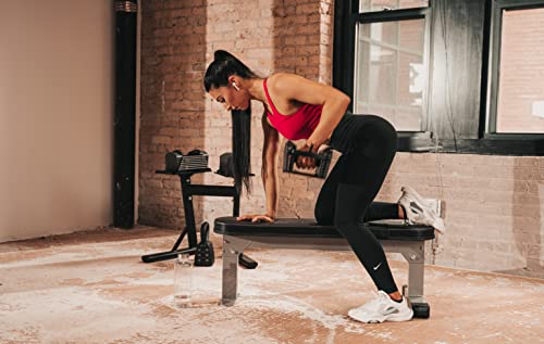 POWERBLOCK Travel Bench, Workout Bench, Folds Up for Easy Storage, Innovative Workout Equipment, Home & Commercial Gyms, Comfortable High Density POWERBLOCK