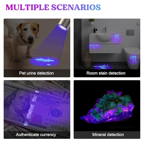 LET'S RESIN UV Light for Resin Curing, Portable Mini 365nm UV Flashlight Black Light, Quick Cure LED Waterproof UV Lamp Rechargeable for Resin Molds, LET'S RESIN