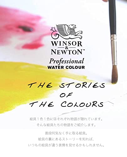Windsor & Newton Artists Water 5ML Tube 12C Set (Japan Import) Winsor & Newton