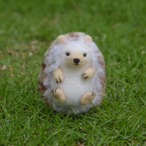 Feltsky Hedgehog Needle Felting Kit for Beginners Easy Steps to Make with Everything, Christmas for Mom, Grandma, Kids Feltsky