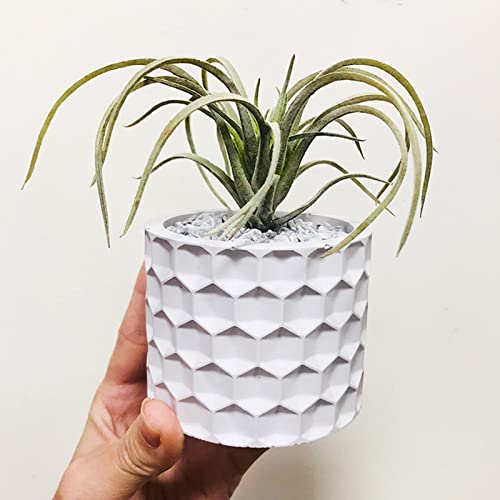 Round Honeycomb Concrete Flower Pot Silicone Mold Succulent Planter Vase Cactus Mold Candle Pen Holder Cement Clay Mold Epoxy Resin Jewelry Storage Anktily