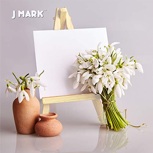J MARK Paint Set – Mini Canvas Acrylic Painting Kit with Wood Easel, Canvases, Paint, Brushes & More J MARK