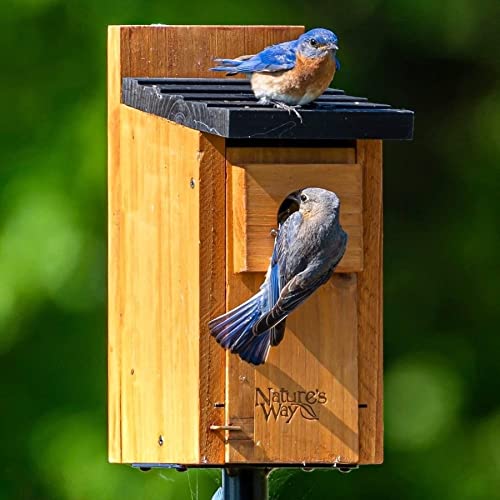 Nature's Way Bird Products CWH3 Cedar Bluebird Box House Nature's Way
