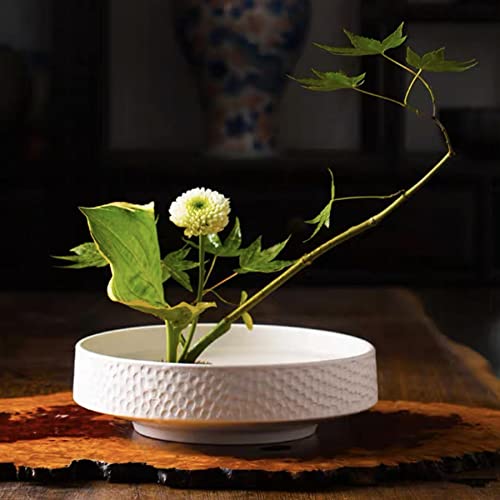 Japanese Ikebana Kit Floral Frog Japanese Flower Arranging Supplies Flower Container with Needle Straightening Tool & Kenzan - 2.4inch Flower Frog, Eggone