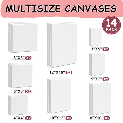 14 Packs Stretched Canvases for Painting, MultiSize 12x16, 10x12, 8x10, 5x7, 8x8, 6x6, 4x4 (2 of Each), Primed Blank Canvas for Oil, Acrylic ESRICH
