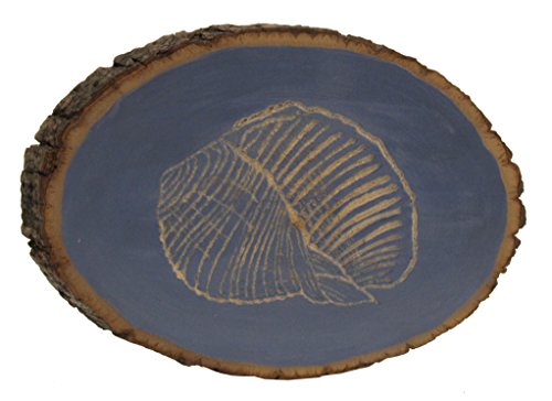 Walnut Hollow Basswood Round, Small 5-7" wide with Live Edge Wood (Pack of 1) - For Wood Burning, Home Décor, and Rustic Weddings Walnut Hollow