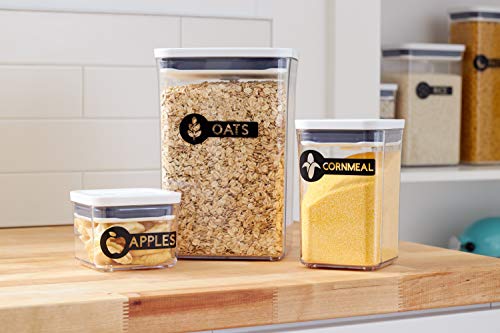 Cricut Joy Machine & Digital Content Library Bundle - Includes 30 images in Design Space App - Portable DIY Smart Machine for creating customized Cricut