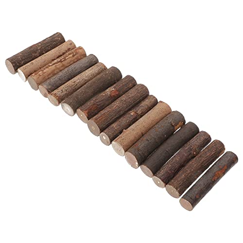 EXCEART 50pcs Natural Stick Birch Tree Sticks Wood Candy Sticks Jumbo Craft Sticks Wood Pop Sticks Wooden Fan Sticks Mini Fence Sticks DIY Wood Toy EXCEART