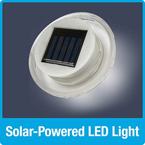 Nature's Way Bird Products ANTHF2-I Illuminated Antique Top-Fill Hummingbird Feeder, Light Blue/Pink Nature's Way