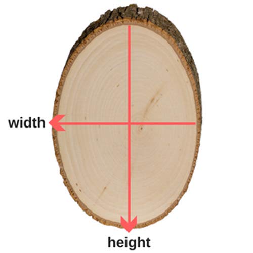 Walnut Hollow Basswood Country Round, Thick for Woodburning, Home Décor and Rustic Weddings Walnut Hollow