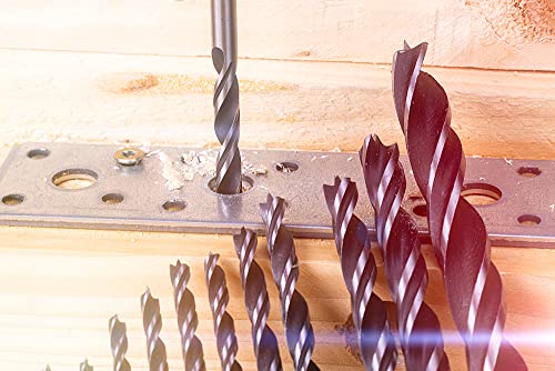 NordWolf 12-Piece Brad Point Wood Drill Bit Set for Carpenter Woodworking, Double Flutes Design with 1/4" Hex Shank, SAE Sizes 1/8" to 1/2" NordWolf