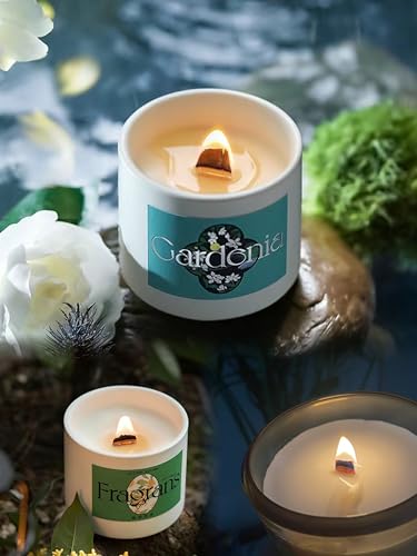 460 PCS Wooden Candle Wicks for Candle Making KIT, 200pcs Natural Candle Wood Wicks with Stand Candle Cores for DIY Candle Making Craft… Harnico