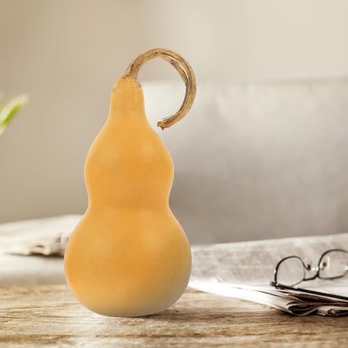 VOSAREA Natural Dried Gourds 2pcs Unfinished Wood Gourd Bottle DIY Painting Wood Peg Doll Dried Gourds for Crafts Arts Chinese Gourd Bottle Feng Shui VOSAREA