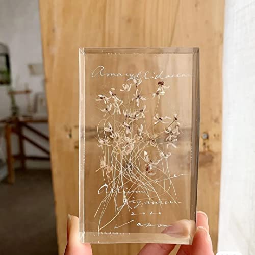 8pcs Resin Molds Kit,Square and Rectangle Silicone Epoxy Molds for Resin Jewelry, Soap, Dried Flower Leaf, Insect Specimen Trybesty