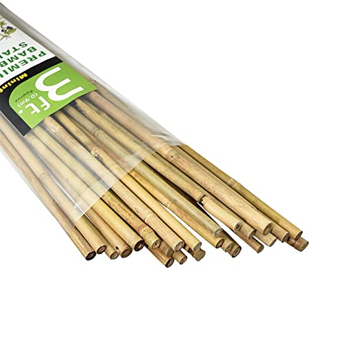 Mininfa Natural Bamboo Stakes 3 Feet, Eco-Friendly Garden Stakes, Plant Stakes Supports Climbing for Tomatoes, Trees, Beans, 25 Pack Mininfa