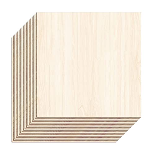 Unfinished Wood Pieces,18 Pack Basswood Sheets 1/16 Thin Plywood Wood Sheets for Crafts,Perfect for Architectural Models, Wooden DIY Ornaments, Cassny