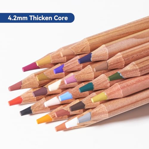 LIGHTWISH Professional Colored Charcoal Pencils,24 Colors Pastel Chalk Pencils Set in Gift Metal Box,for Beginners Adults Artists Shading Drawing LIGHTWISH