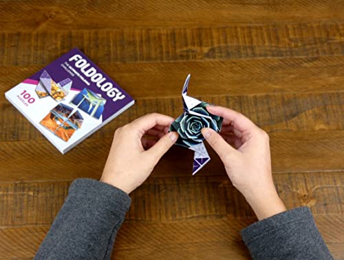 FOLDOLOGY - The Origami Puzzle Game! Hands-On Folding Brain Teasers. Stocking Stuffer/Gift for Tweens, Teens & Adults. Fold The Paper to Complete The FOLDOLOGY