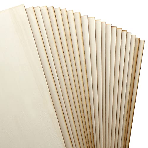 Rectangle Unfinished Wood Pieces 6 x 12 Inch, 25 Pcs Blank Basswood Sheets 1/8 Inch Thin Wood Board for Crafts, Model Making, Wood Burning LANIAKEA