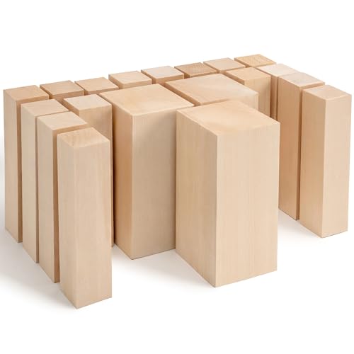BeaverCraft BW19 Basswood Carving Blocks Whittling Wood Carving Kit 19PCS Wooden Blocks for Crafts Bass Wood for Carving - Unfinished Wood Blocks Set BeaverCraft