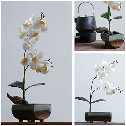 Japanese Flower Frog Ikebana Vase Kit, Ceramics Flower Container (6.7"Lx3.4"Wx2.75"H) with Rectangle Floral Frog (2.1"Lx1.4"W) and 2 in 1 Kenzan Eggone