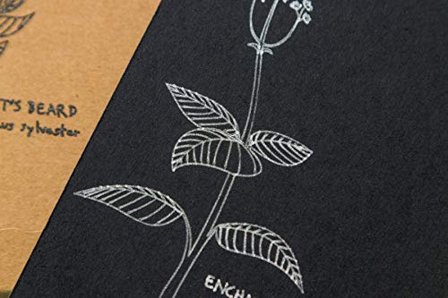 Cricut Fine Debossing Tip + QuickSwap Housing, Tip with Rolling Debossing Ball, Deboss Designs on Thick Foil, Cardstock & More, For Personalized Cricut