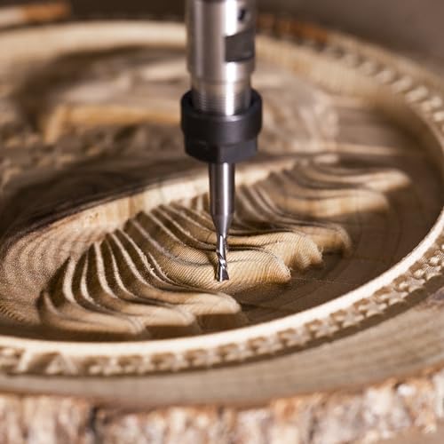 SpeTool 5PCS Down Cut Spiral Router Bit Set 1/4" Shank with 1/8" Cutting Diameter, Carbide CNC Bits for Wood Cutter Milling SpeTool