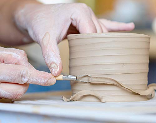 14PCS Ceramic Pottery Clay Ribbon Sculpting Tool Kit with Feather Wire Texture and Needle Detail Tools for Carving,Modeling,by Augernis Augernis
